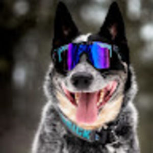 Meet your Posher, Jack